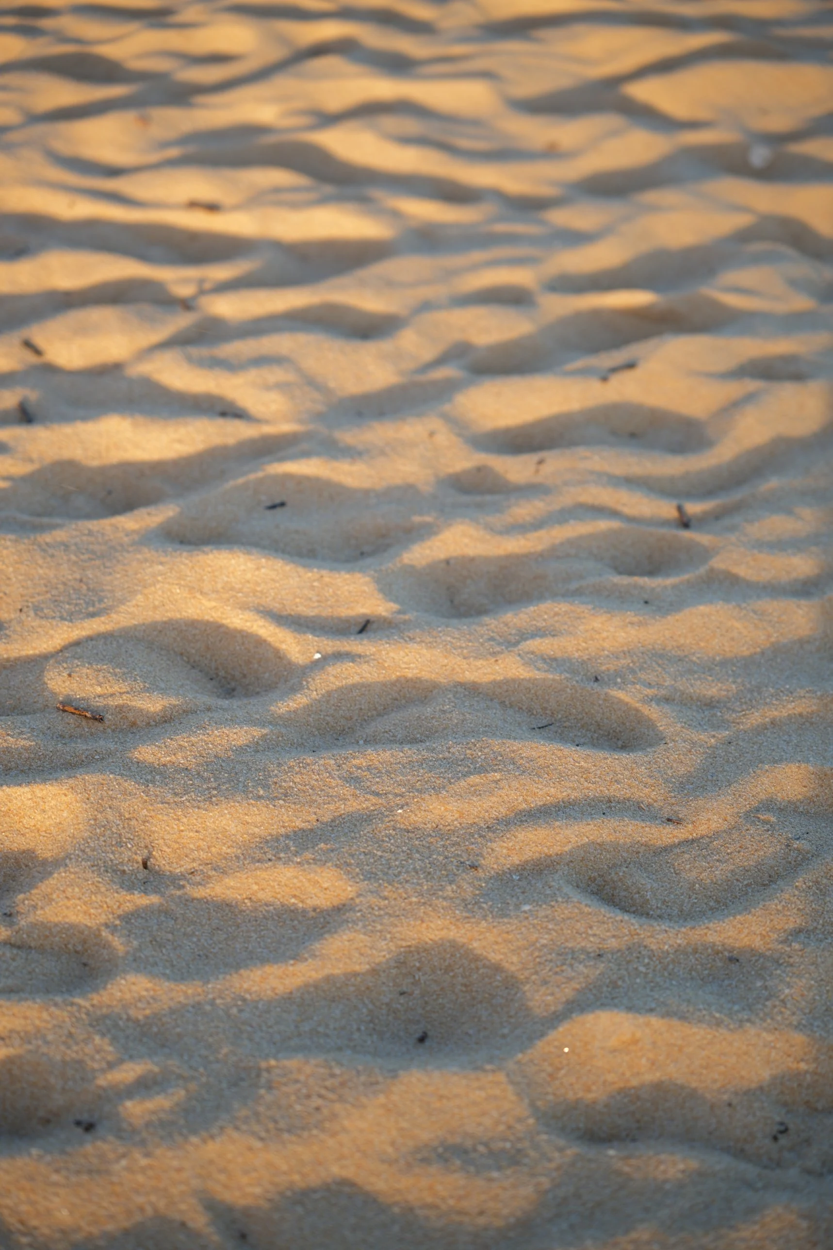 Areia fina com marcas de passos sob a luz dourada do fim da tarde