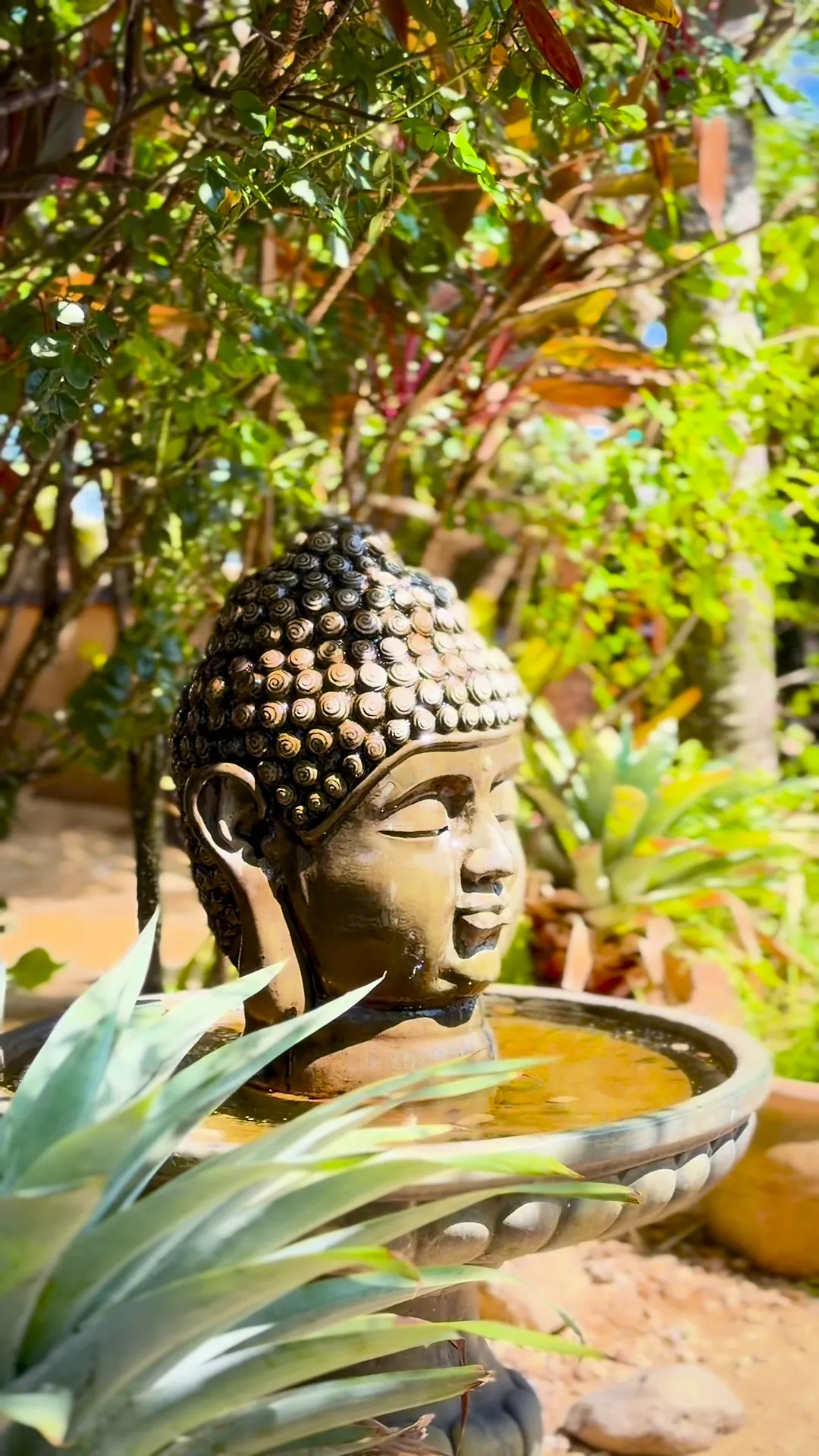 Fonte com cabeça de Buda em um jardim tropical